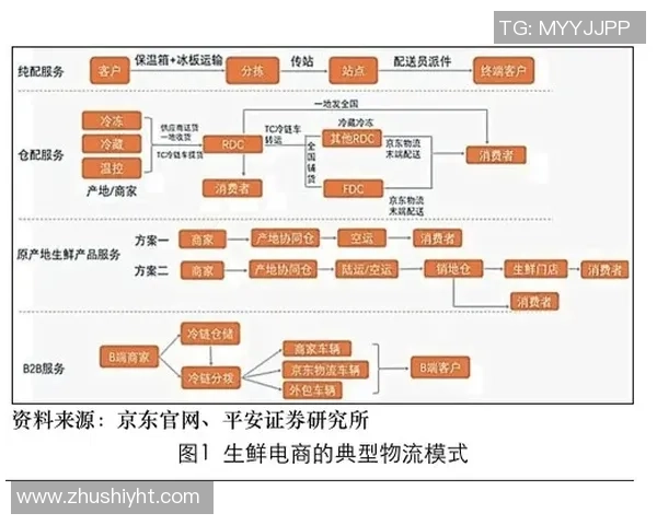 杭州排球队与上海排球队技术对比赛后复盘分析与总结